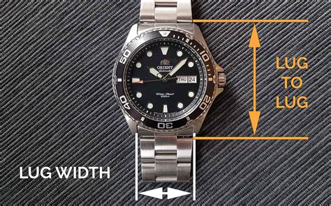 watch lug to lug distance.